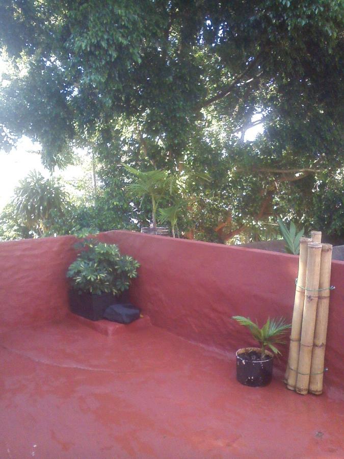 Flia Ocampo Lejlighed Puerto Iguazú Eksteriør billede