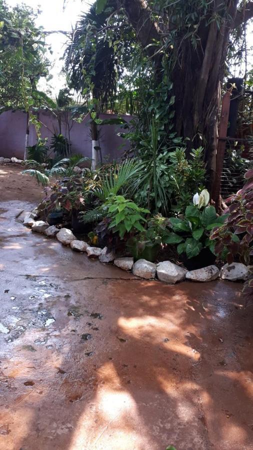 Flia Ocampo Lejlighed Puerto Iguazú Eksteriør billede